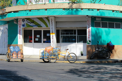 Sayab Purificadora