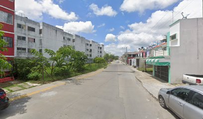 Vio Purificada