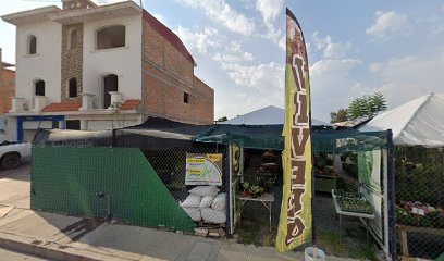 Vitale, Agua Purificada