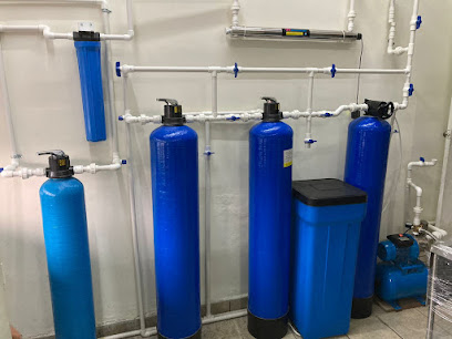 Vitanza Plantas Purificadoras De Agua